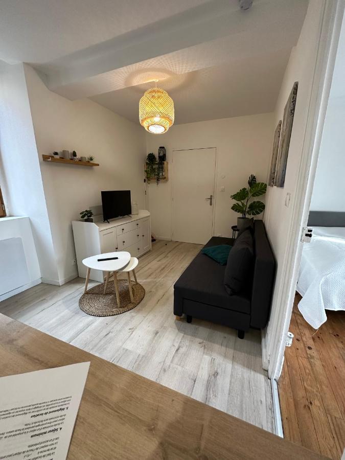 Joli Appartement Proche Centre Ville, Thermes, Aquensis Bagnères-de-Bigorre Kültér fotó